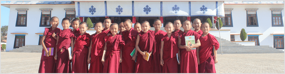 projects-newprograma de patrocinadores centro loseling méxico