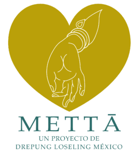 METTA PROYECT 2021_Mesa de trabajo 1