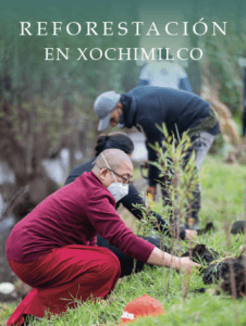 METTA REFORESTACIÓN-01