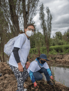 METTA REFORESTACIÓN-02