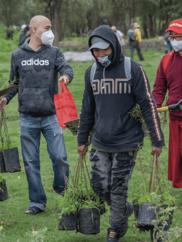 METTA REFORESTACIÓN-03