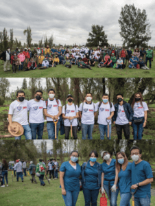 METTA REFORESTACIÓN-04