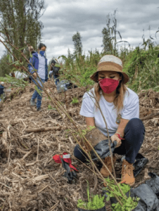 METTA REFORESTACIÓN-05