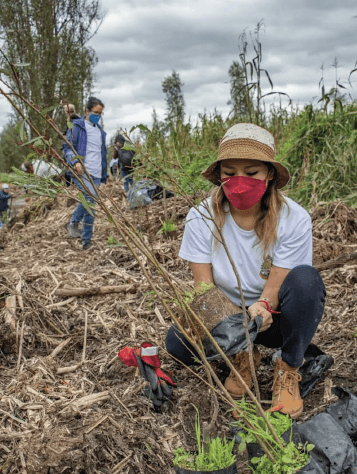 METTA REFORESTACIÓN-05