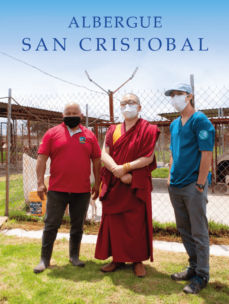 san cristobal metta-01