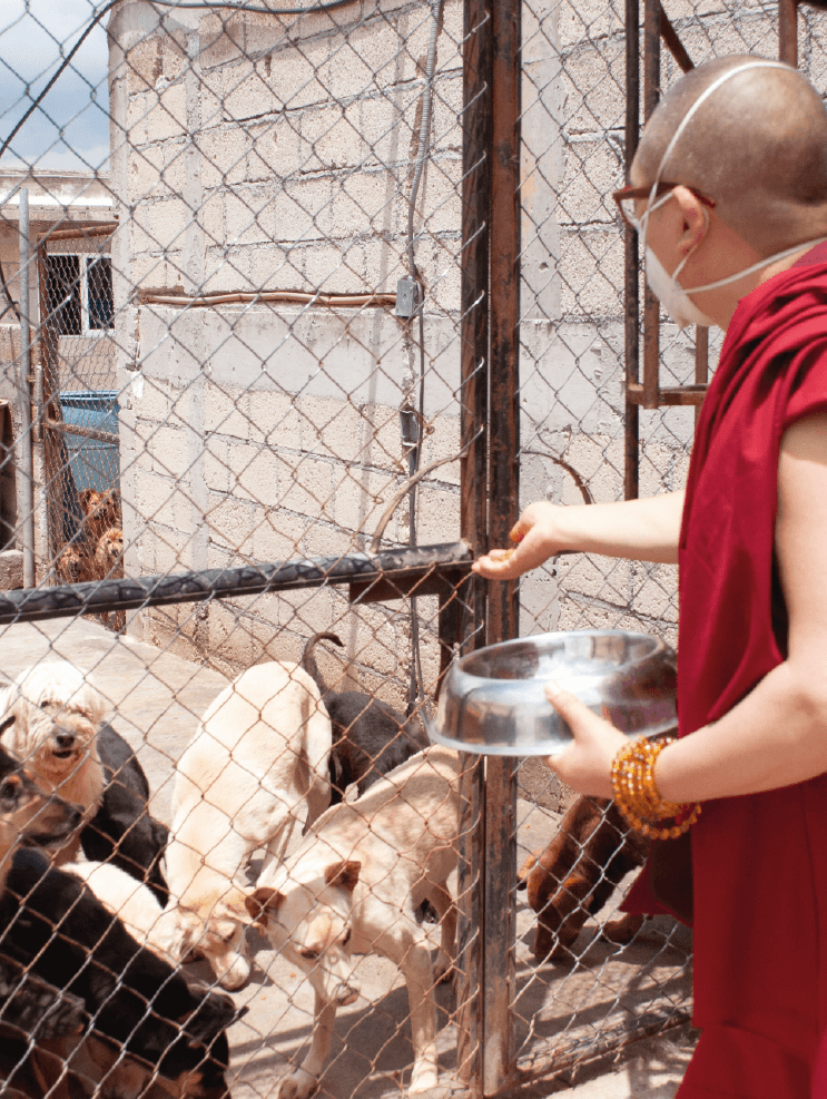 san cristobal metta-02