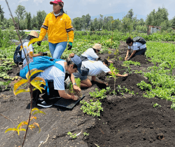 metta xochimilco 2023-02 metta xochimilco 2023-02