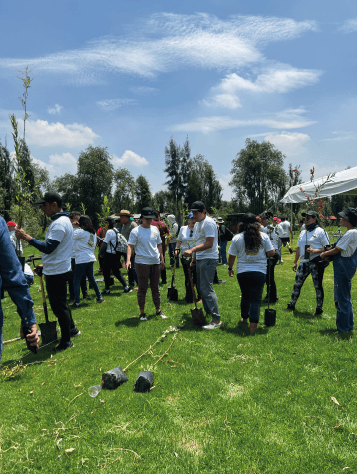 metta xochimilco 2023-04