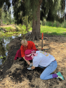 metta xochimilco 2023-05