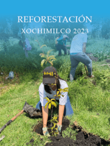 metta xochimilco 2023_Mesa de trabajo 1