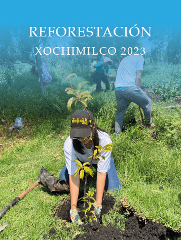 metta xochimilco 2023_Mesa de trabajo 1