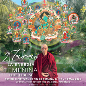 21 taras 25 21 taras 25