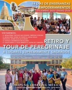 WhatsApp Image 2025-03-08 at 13.02.14