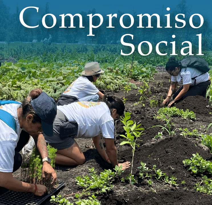 web compromiso social 25